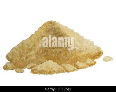 Watercolor illustration of spice ginger, half, leaves and slices. Hand-drawn illustration isolated on white background. Ginger root for food design Stock Photo