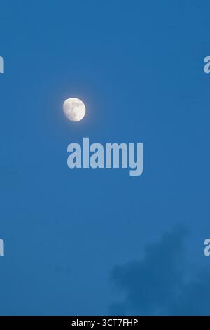 half moon floating on blue sky in twilight background Stock Photo