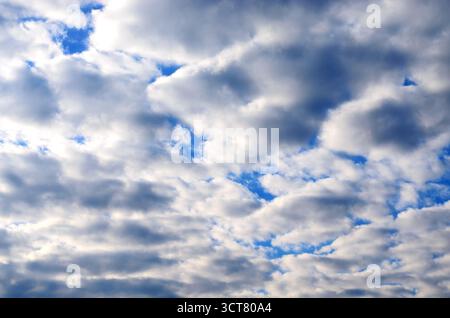 Dramatic Blue Sky Patches Breaking Through Thick White Altocumulus Clouds Stock Photo