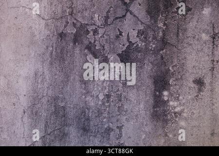 Old concrete wall with cracks and stains texture suitable for backgrounds, grunge design, and architectural concepts Stock Photo