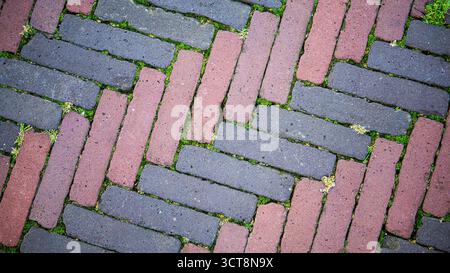 Colorful brick pavement with moss in herringbone pattern. Close-up of red and dark gray bricks arranged in a herringbone pattern, with green moss Stock Photo