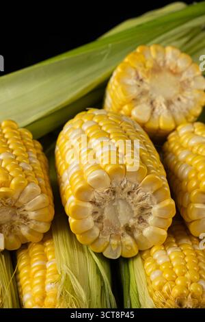 Close-up pile of fresh ripe corn cobs Stock Photo
