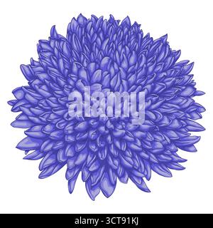 beautiful flower dahlia isolated on white background Stock Vector