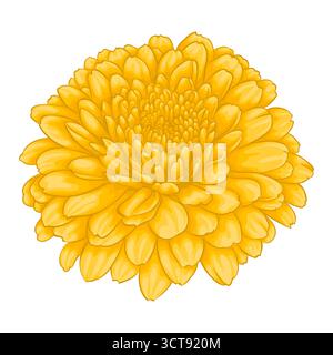 beautiful yellow chrysanthemum flower effect watercolor isolated on white background Stock Vector