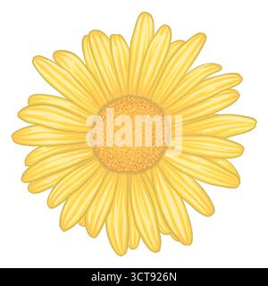 beautiful yellow daisy flower with effect watercolor isolated on white background Stock Vector