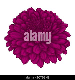 beautiful flower dahlia isolated on white background Stock Vector