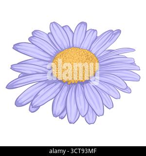 beautiful daisy flower isolated on white background Stock Vector