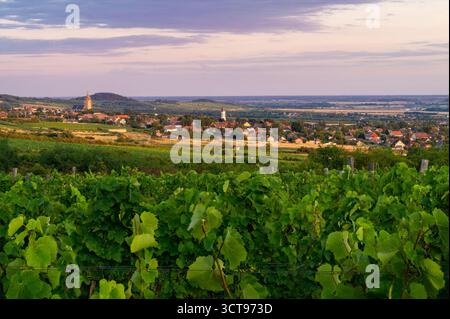 Sunset Over a Lush Vineyard With a Village and Rolling Hills in the Distance Stock Photo