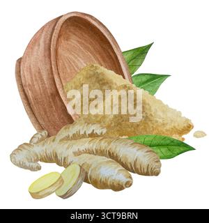 Watercolor illustration of spice ginger, half, leaves and slices. Hand-drawn illustration isolated on white background. Ginger root for food design Stock Photo