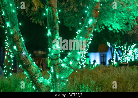 A tree with green lights is lit up in a park. The lights are strung along the tree and the branches. Historic center of Queretaro, colonial architectu Stock Photo