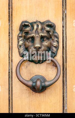 Lion head door knocker Stock Photo