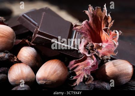 Broken dark chocolate with cocoa beans and hazelnuts on a wooden table Stock Photo