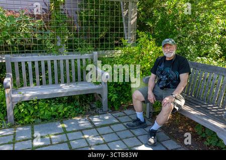 Bellevue, Washington, USA.  77 year old man in shorts with camera sitting on a park bench next to a potted Star Jasmine (MR) Stock Photo