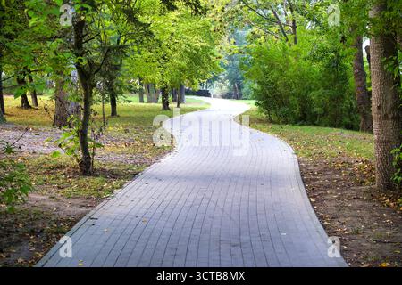 A curved brick path winds through a vibrant park filled with green trees and scattered leaves. Sunlight filters through the foliage, inviting a peacef Stock Photo