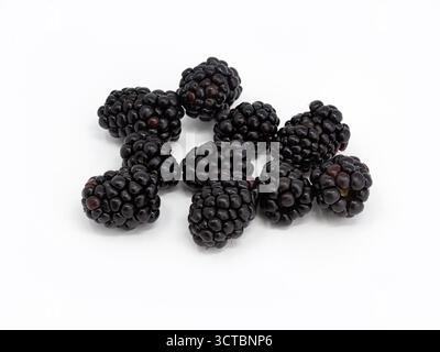 Fresh raw blackberries isolated on white background Stock Photo