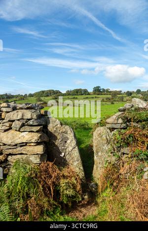 A footpath through a Squeeze stile and pasture field near Cartmel, Cumbria, England Stock Photo