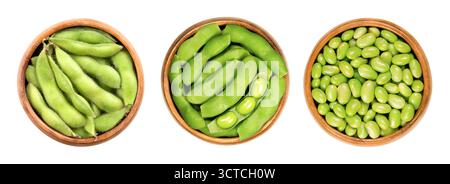 Edamame, green soybeans, in wooden bowls. From left to right fresh, raw soybeans in their pods, boiled in salt water, and shelled. Common side dish. Stock Photo