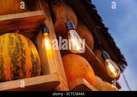 The image showcases a rustic wooden shelf adorned with bright orange pumpkins, complemented by softly glowing light bulbs that create a cozy autumnal Stock Photo