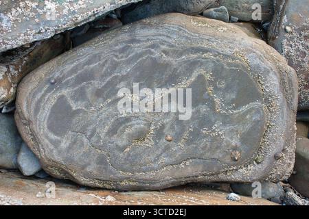 Close-Up Detail of Wet Coastal Rock Texture - High-angle close-up view of wet rock texture with natural fractures, barnacles, and small trickle of whi Stock Photo