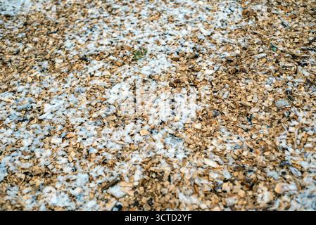 wood chips scattered on the ground and slightly covered with snow Stock Photo