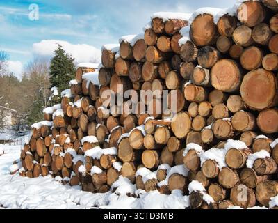 Snow-Covered Log Pile and Forest in Winter - Large stack of cut wooden logs dusted with fresh snow in a wintry rural landscape under a cloudy sky. Stock Photo