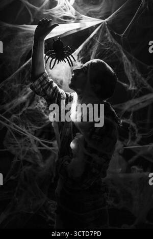 Spider in a spider web eats a trapped spun pupated fly caught in the ...