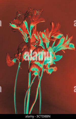 Red and cyan floral digital effect, blooming bouquet on gradient background, neon nature illustration, high-contrast glow, modern abstract style. Stock Photo