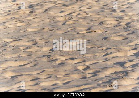 Golden evening light highlights soft sand ripples on the beach. Shadows create a natural pattern across the surface. Stock Photo