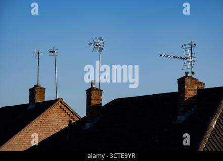 Domestic Television Aerials glinting in the Autumn sunshine set against a blue sky. Stock Photo