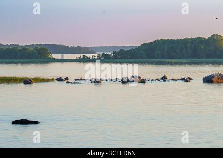 Calm lake scene with scattered rocks, grassy shore, and small forested islands in soft evening light under a pastel-colored sky Stock Photo