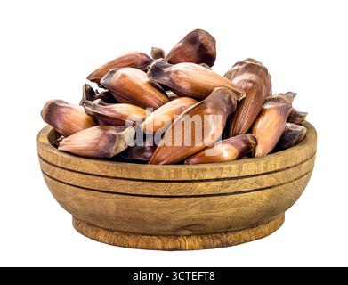 pinhão seeds, the seed of the araucaria, a tree found in the South and Southeast of Brazil, consumed cooked or roasted, mainly in autumn and winter, i Stock Photo