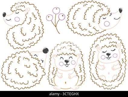 Hedgehog. Set of illustrations in hand draw style. Hand drawing, color outline. Design for coloring by colors, postcards. Icons, signs, stickers, logo Stock Vector