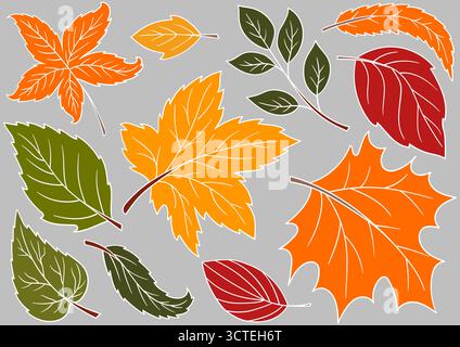 Autumn leaves. Set of color illustrations in hand draw style on gray background. White outline. Design for postcards, flyers, banners. Icons, signs, s Stock Vector