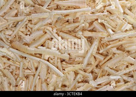 Swiss pine wood shavings for background use Stock Photo