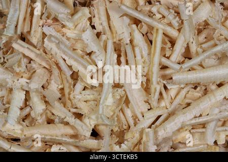Swiss pine wood shavings for background use Stock Photo