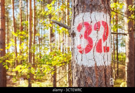 A tree with the number thirty two painted on it, selective focus. Stock Photo