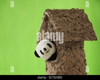 A cute panda finger puppet appears from the window of a small house made of unique papier-mâché textured paper Stock Photo