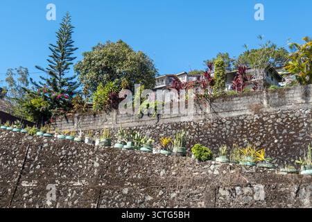 residential area with a terraced wall and houses on a hill, plants in pots, Baguio, Philippines Stock Photo