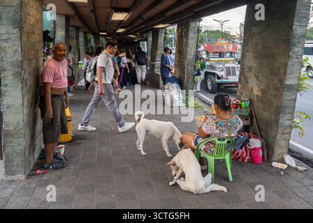 Female street seller, woman with two dogs sitting on a pedestrian walkway under a bridge, Manila, Philippines Stock Photo