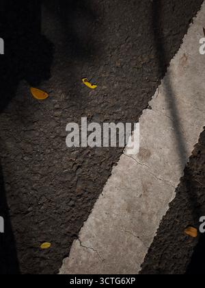 A close-up shot of an asphalt road featuring a white line marking with visible cracks, dried leaves and texture Stock Photo