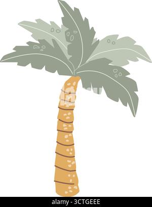 Tropical palm tree illustration with green leaves and brown trunk. Stock Vector