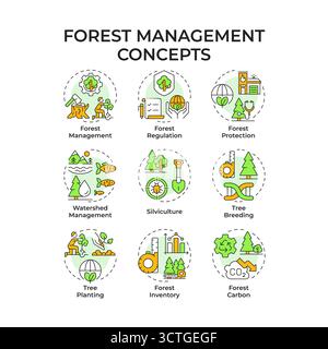 Forest management multi color concept icons Stock Vector
