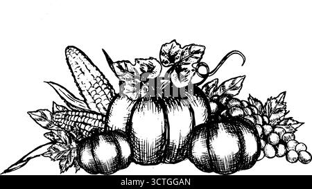 Compositions for Harvest festival - Pumpkins, grape and corns in vintage botanical linear style. Harvest border outline. Stock Vector