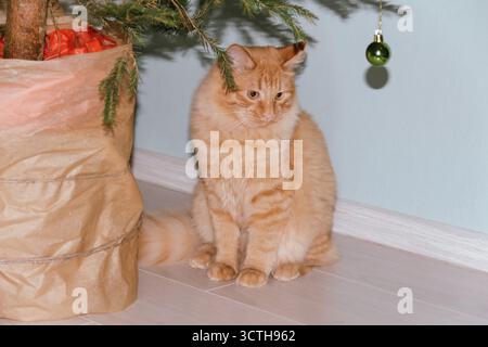 A ginger cat plays near a Christmas tree with Christmas balls. Concept for the Christmas and New Year holidays Stock Photo