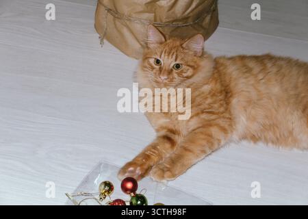 A ginger cat plays near a Christmas tree with Christmas balls. Concept for the Christmas and New Year holidays Stock Photo