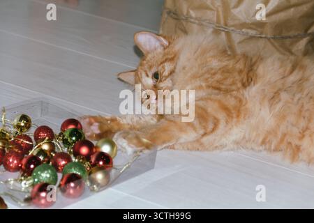 A ginger cat plays near a Christmas tree with Christmas balls. Concept for the Christmas and New Year holidays Stock Photo