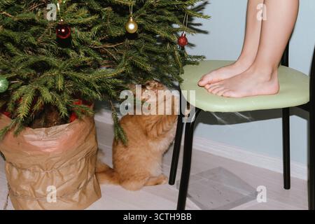 A ginger cat plays near a Christmas tree with Christmas balls. Concept for the Christmas and New Year holidays Stock Photo