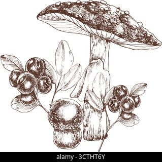 Forest inedible mushroom ink vector graphics with blueberries. Hand drawn seasonal wild clipart in outline style, engraved floral painting for autumn Stock Vector