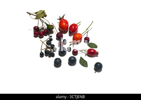 Different forest fruits. Stock Photo