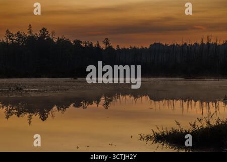 Golden sunset over still lake with forest reflection in the Pine Barrens, New Jersey, USA. Tranquil wetlands and silhouetted trees Stock Photo